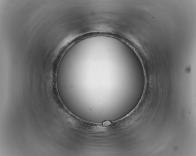 X0000091011315200708161950