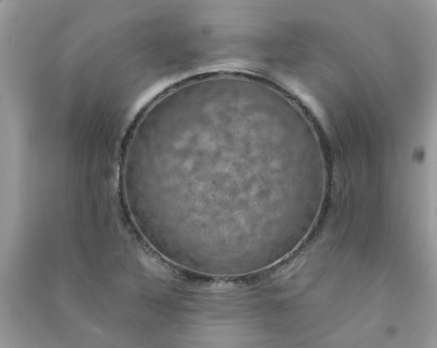 X0000091011316200708161950