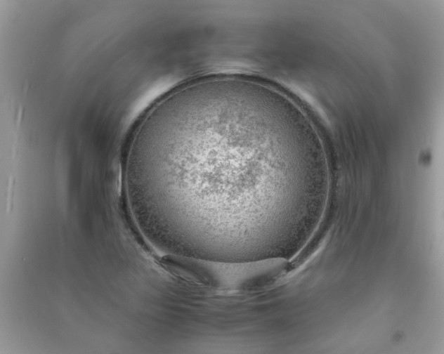 X0000091011317200708161950