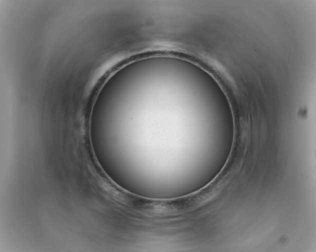 X0000091011318200708161950