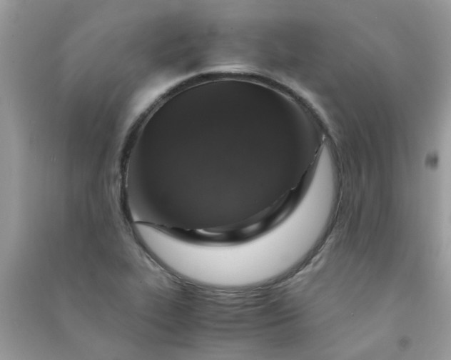 X0000091011319200708161950