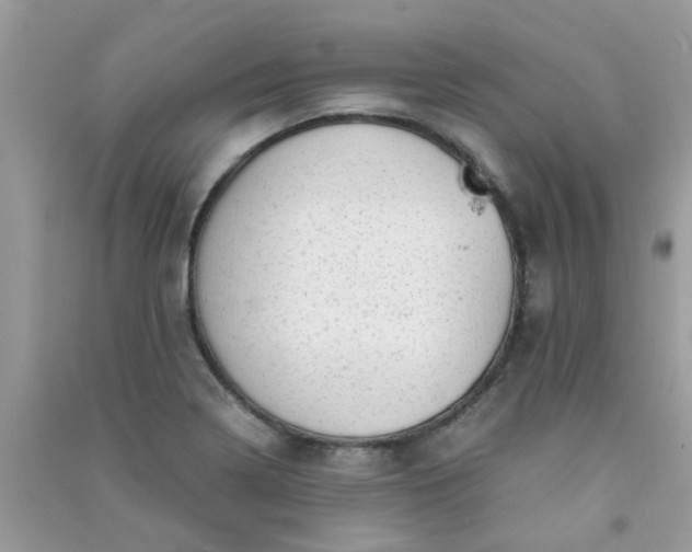 X0000091011322200708161950