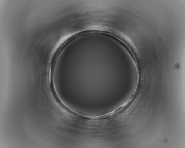 X0000091011323200708161950