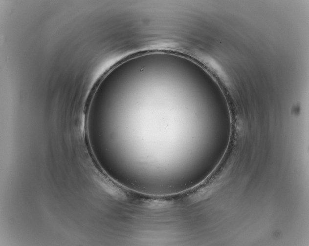 X0000091011324200708161950