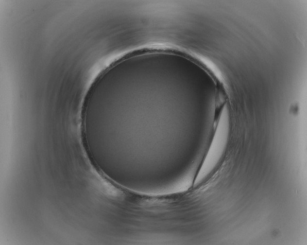 X0000091011327200708161950