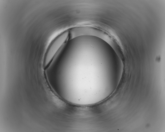 X0000091011328200708161950