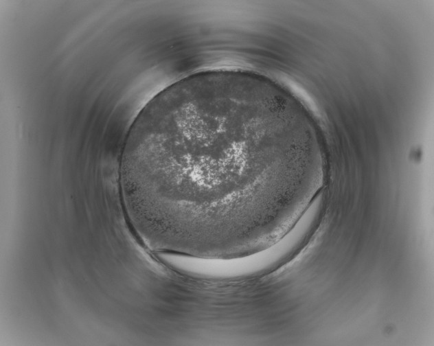 X0000091011329200708161950