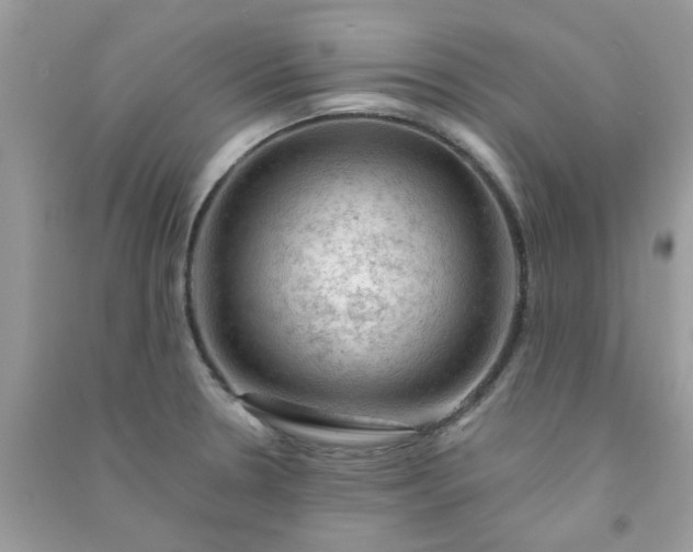 X0000091011330200708161950