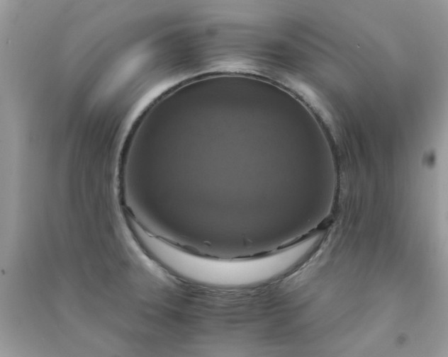 X0000091011331200708161950