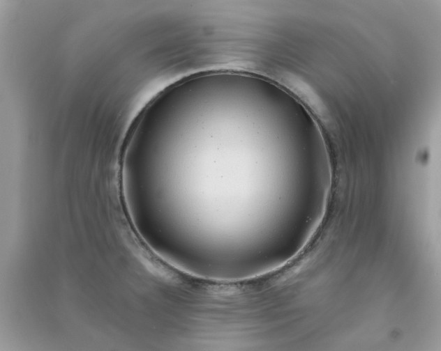 X0000091011332200708161950