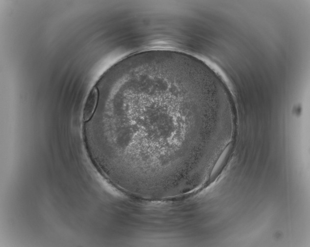 X0000091011333200708161950