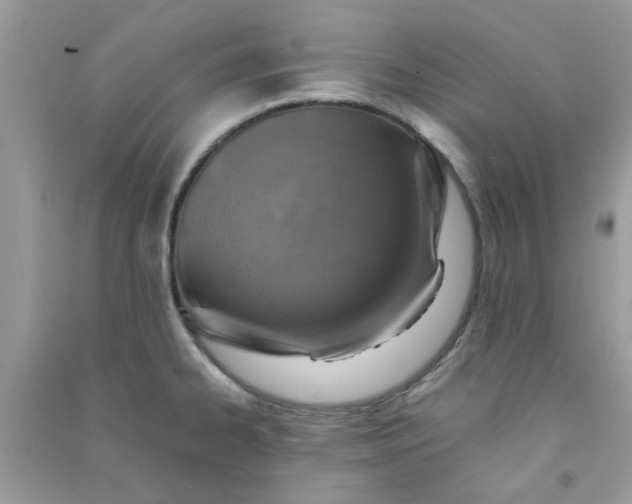 X0000091011334200708161950