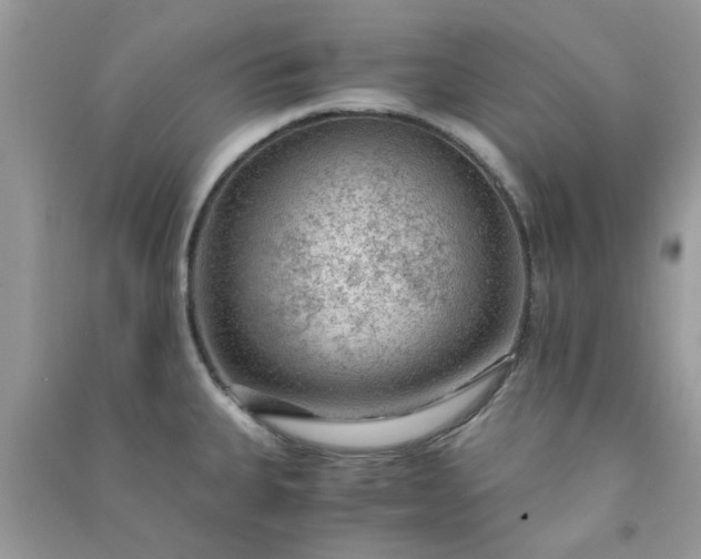 X0000091011335200708161950
