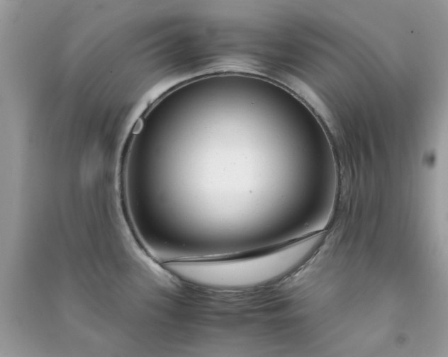 X0000091011339200708161950