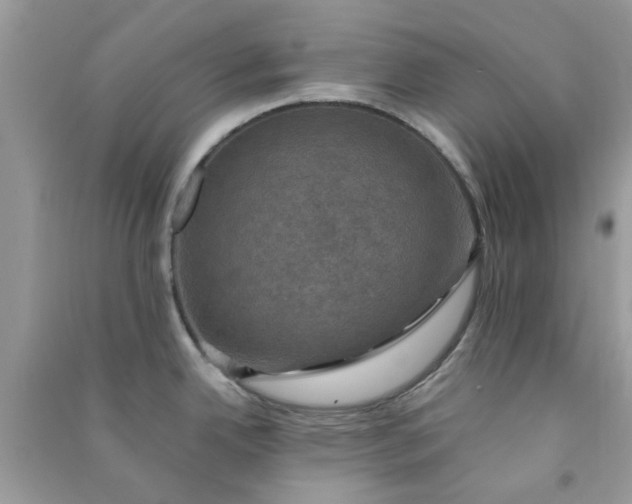 X0000091011342200708161950