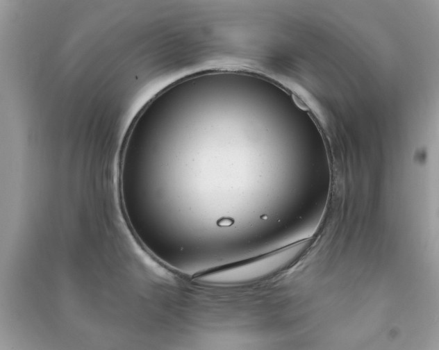 X0000091011343200708161950