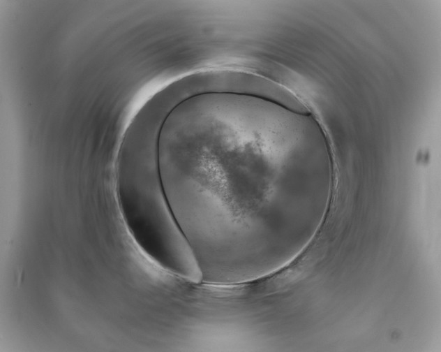 X0000091011344200708161951