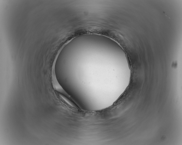 X0000091011345200708161950