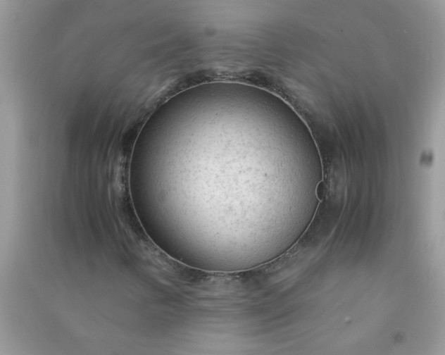 X0000091011346200708161950