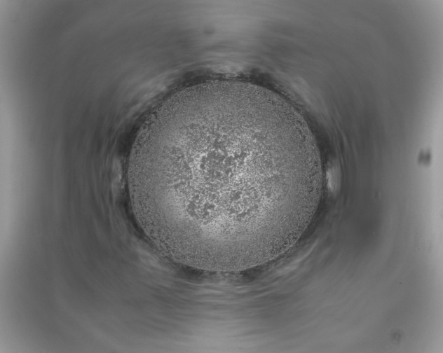 X0000091011347200708161950