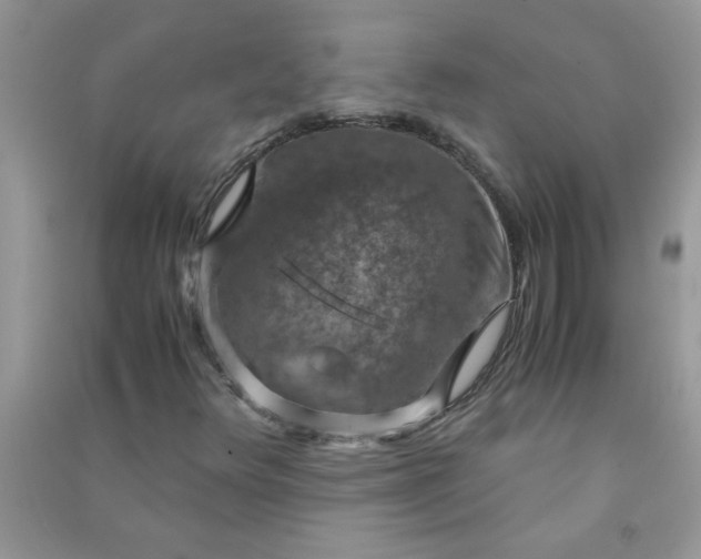 X0000091011348200708161950