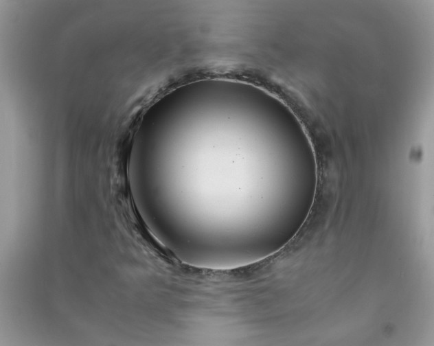 X0000091011349200708161950