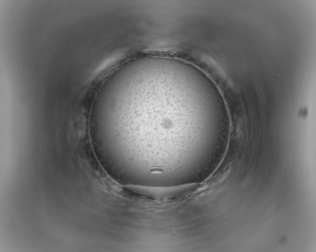 X0000091011350200708161950