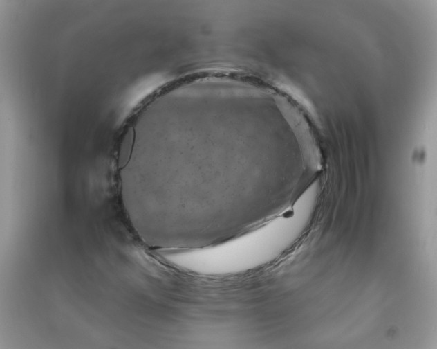 X0000091011352200708161950