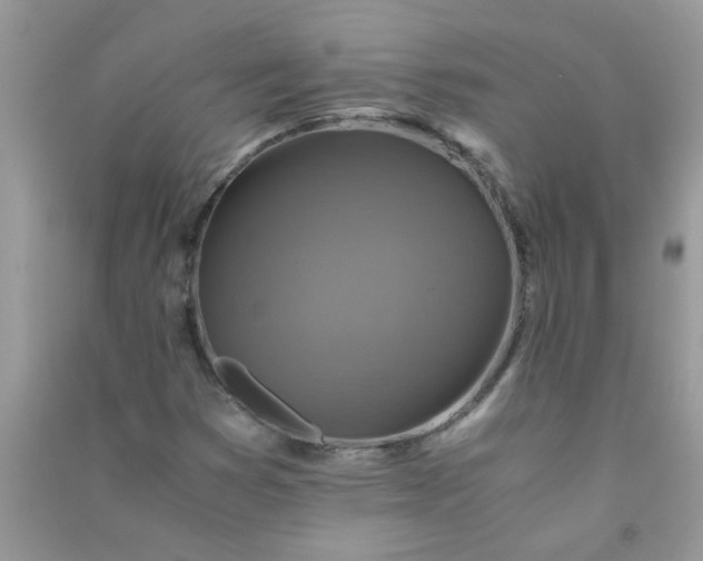 X0000091011353200708161950