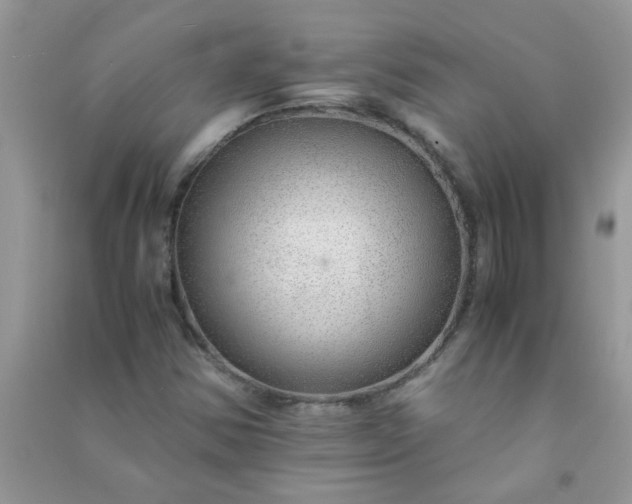 X0000091011354200708161950