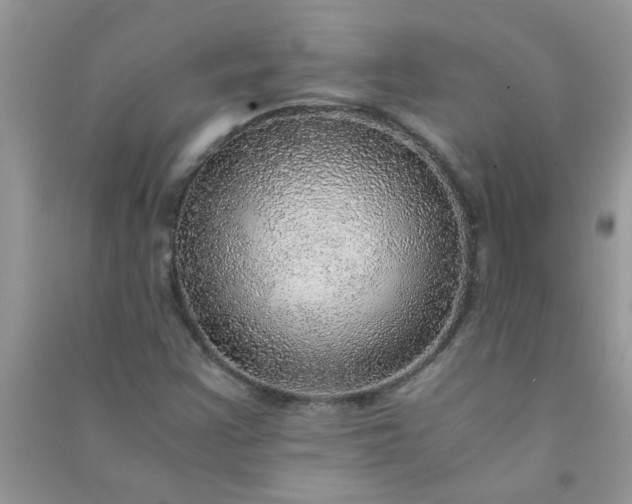 X0000091011355200708161950