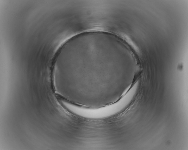 X0000091011356200708161950