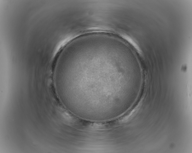 X0000091011357200708161950