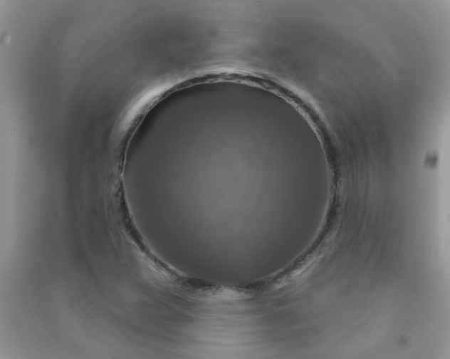 X0000091011359200708161950