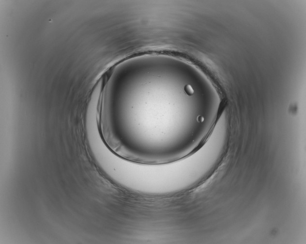 X0000091011361200708161950
