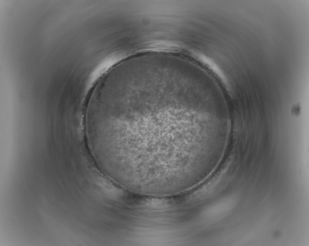 X0000091011362200708161950