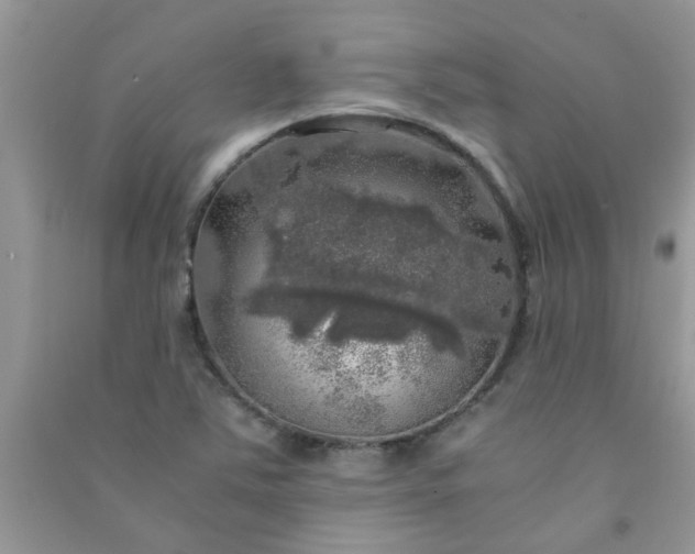 X0000091011363200708161950