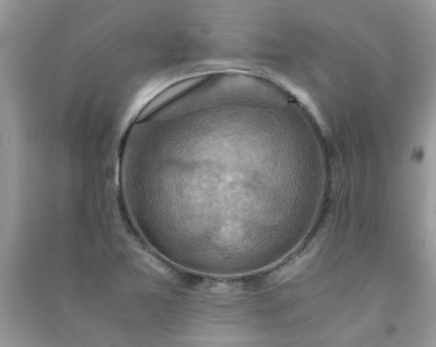 X0000091011365200708161950