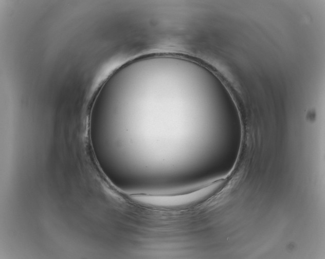 X0000091011366200708161950