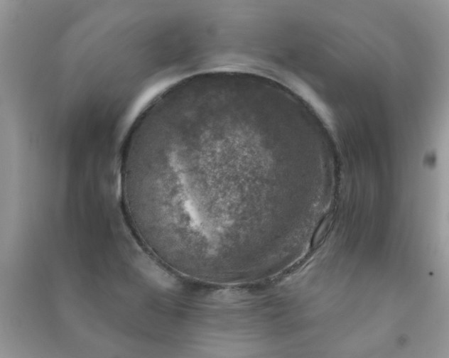 X0000091011368200708161950