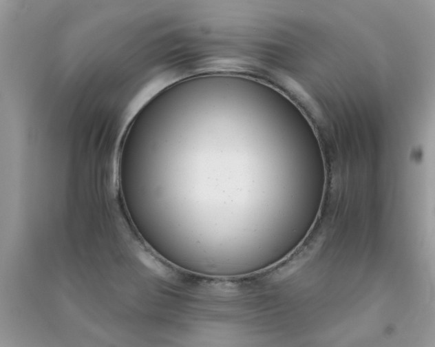 X0000091011370200708161950