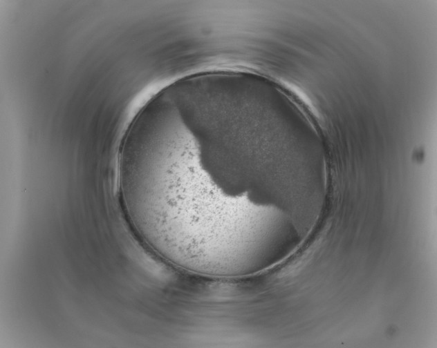 X0000091011371200708161950