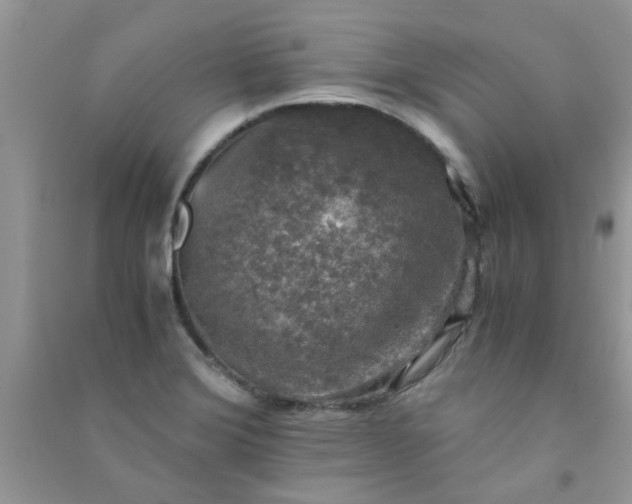 X0000091011372200708161950
