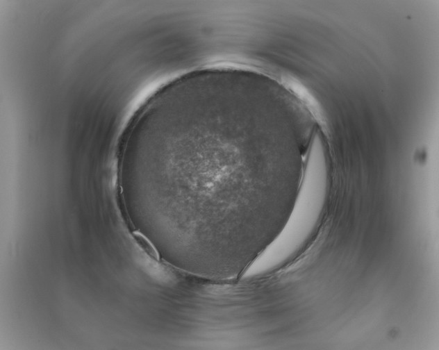 X0000091011376200708161950