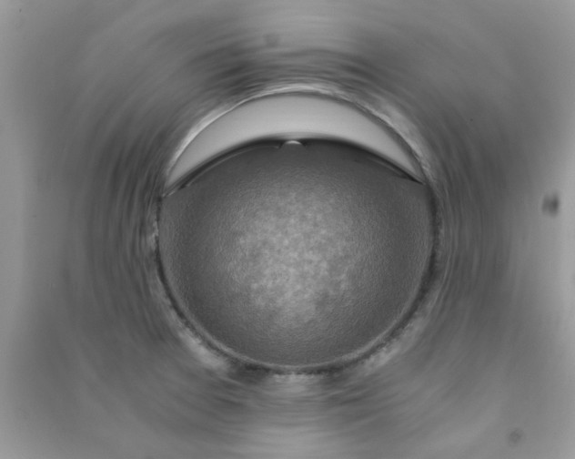 X0000091011377200708161950