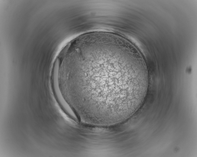 X0000091011379200708161949