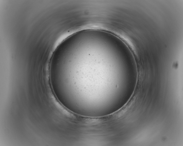 X0000091011382200708161949