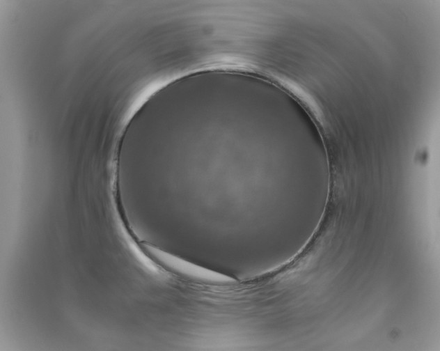 X0000091011383200708161949