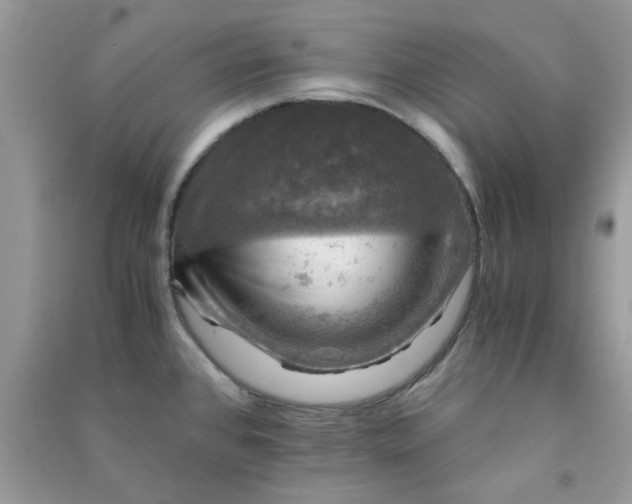 X0000091011384200708161949