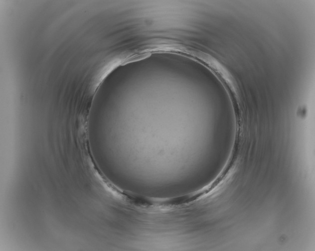 X0000091011385200708161949